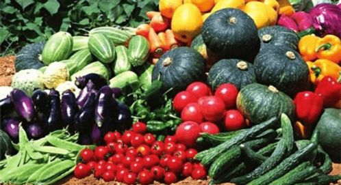 農(nóng)業(yè)農(nóng)村部關于修訂完善農(nóng)產(chǎn)品質量安全法健全蔬菜食品安全源頭保障機制建議的答復